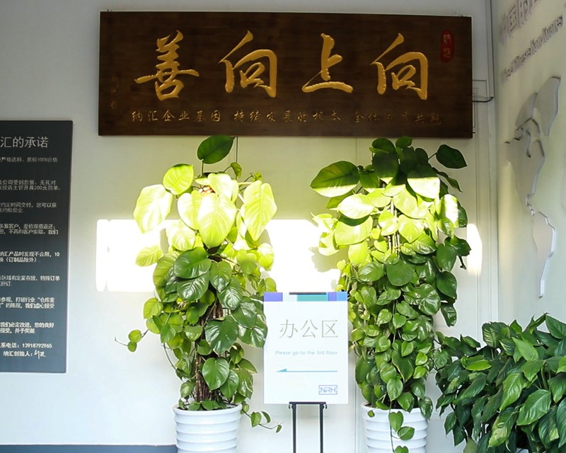 蘑菇AV下载